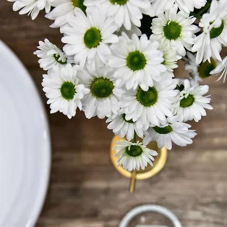 ベッド・アンド・ブレックファスト Residenza Toledo