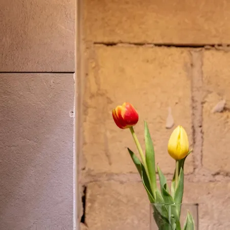 Residenza Toledo فندق مبيت وإفطار